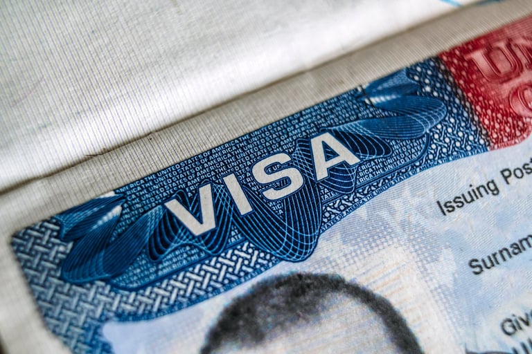Visa USA in Foreign Passport for Tourism. High quality photo